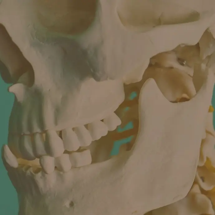 VISA TIESA APIE ŽANDIKAULĮ